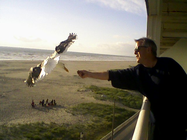 FeedingSeagulls.jpg
