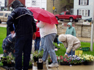 plantsale1.jpg