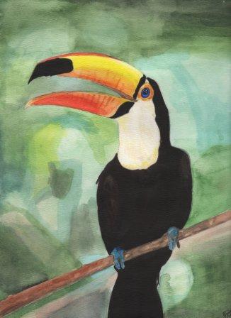 tucan001.jpg