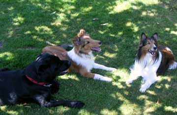 Emmie, Nicky & Minet August 2005