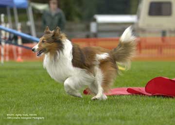 Minet running the shoot 2005