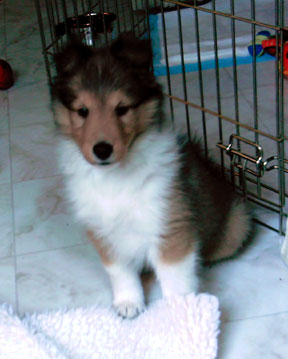 Welcome to the family!
