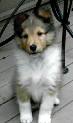 Nicky contemplates joining our family