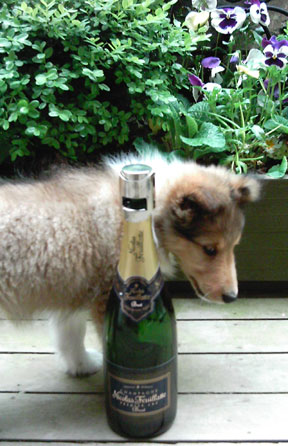 Nicky with Nicholas F. champagne