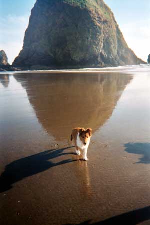 The monolith at Cannon Beach, Summer of 2005