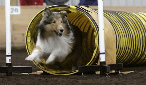 Dynamite ending tunnel!