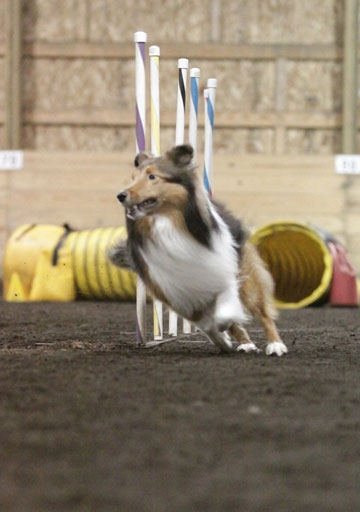 NADAC Killer Weaves!