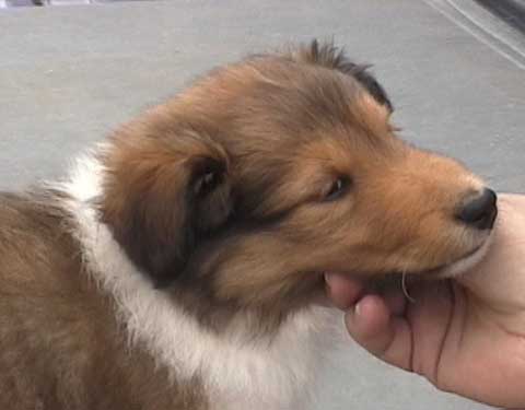 What a face!  Baby Nicky.