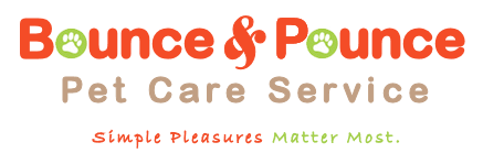 Bounce & Pounce Pet Sitting Service (570)762-4560