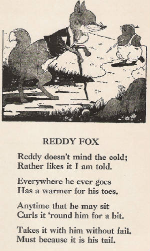 reddy-fox.jpg
