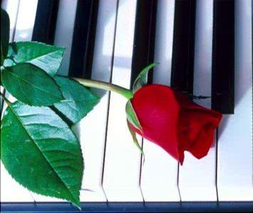 roseonpianokeys.jpg
