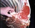 meat1.jpg