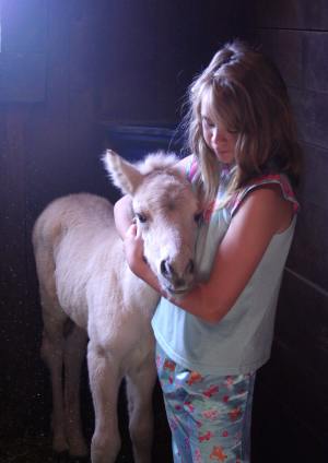 08_foal_146.jpg