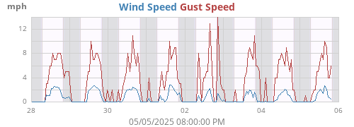 weekwind