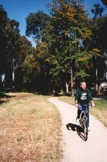 Along Palos Verdes Dr.