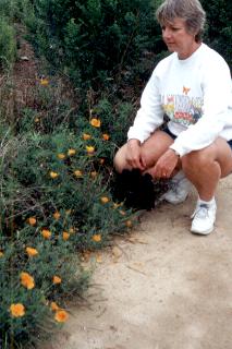 Admiring the poppies
