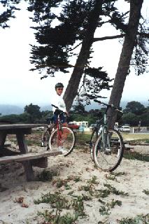 Under the cypress trees