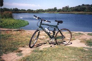 Nishiki at Harbor Lake