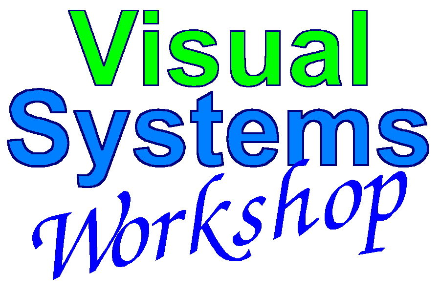 Visual Systems Workshop