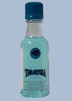 Tarantula Azul 2