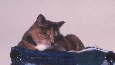 Nita in her later years