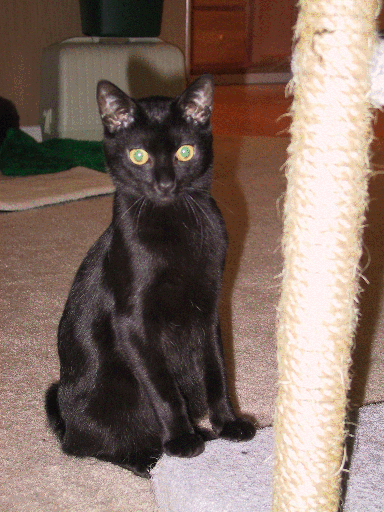 Eddie looking quizzical