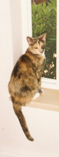 young Nita at the window