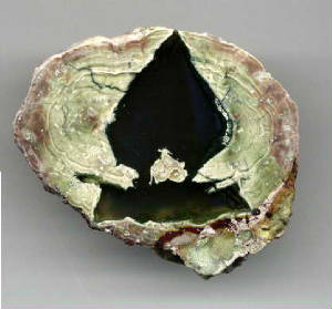aceofspades.jpg