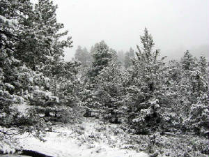 eaglerocksnow.jpg