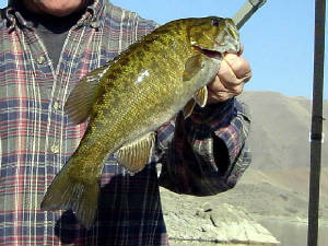 garysbass.jpg