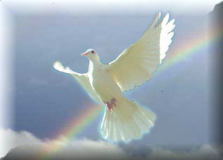 Rainbow-Dove.jpg