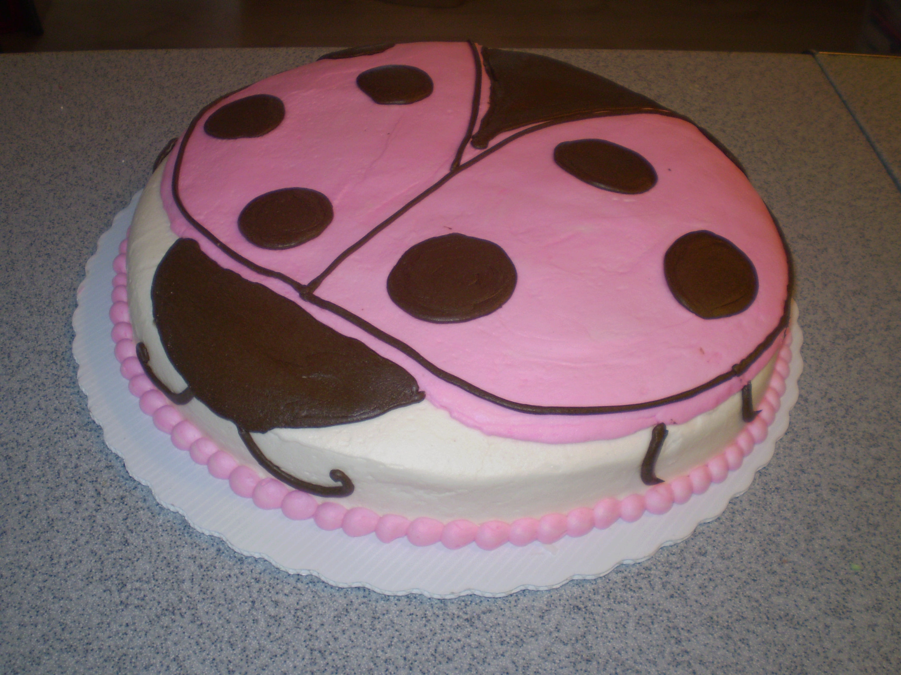 ladybug.JPG