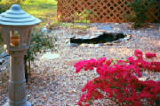 azaela_pond_rock_garden_100_resolution.jpg