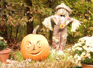halloween_2004_pumpkin.jpg