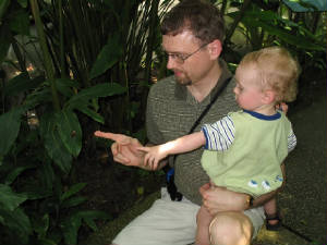 scott_reeves_butterflyhouse.jpg