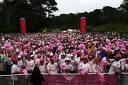 breastcancer3.JPG