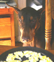 dog_egg.jpg
