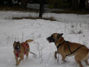 bougreysnow.jpg