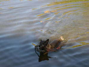 dscn1291.jpg