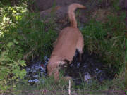 dscn1298.jpg