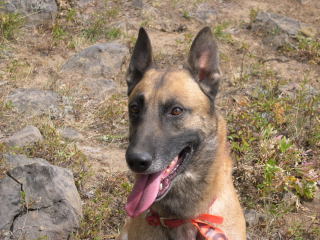 dscn0017.jpg