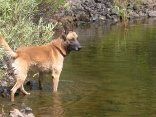 dscn0022.jpg
