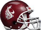 Logo:Cougar away helmet