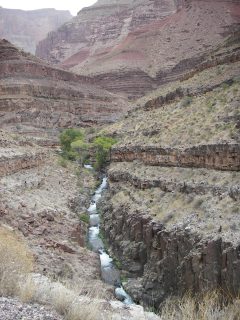 Tapeats Creek