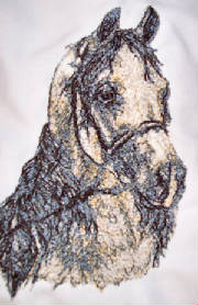 Embroidered Arabian