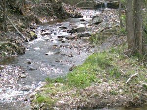 New_Creek_in_Keyser_008.jpg