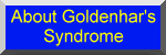 About
            Goldenhar's Syndrome