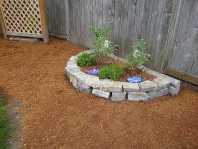 Small planter and blueberry bushes