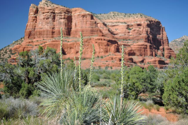 Red Rock Country