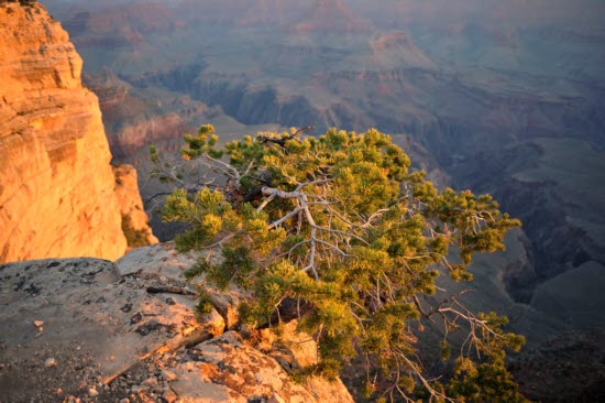 Monday sunrise from Yavapai Point